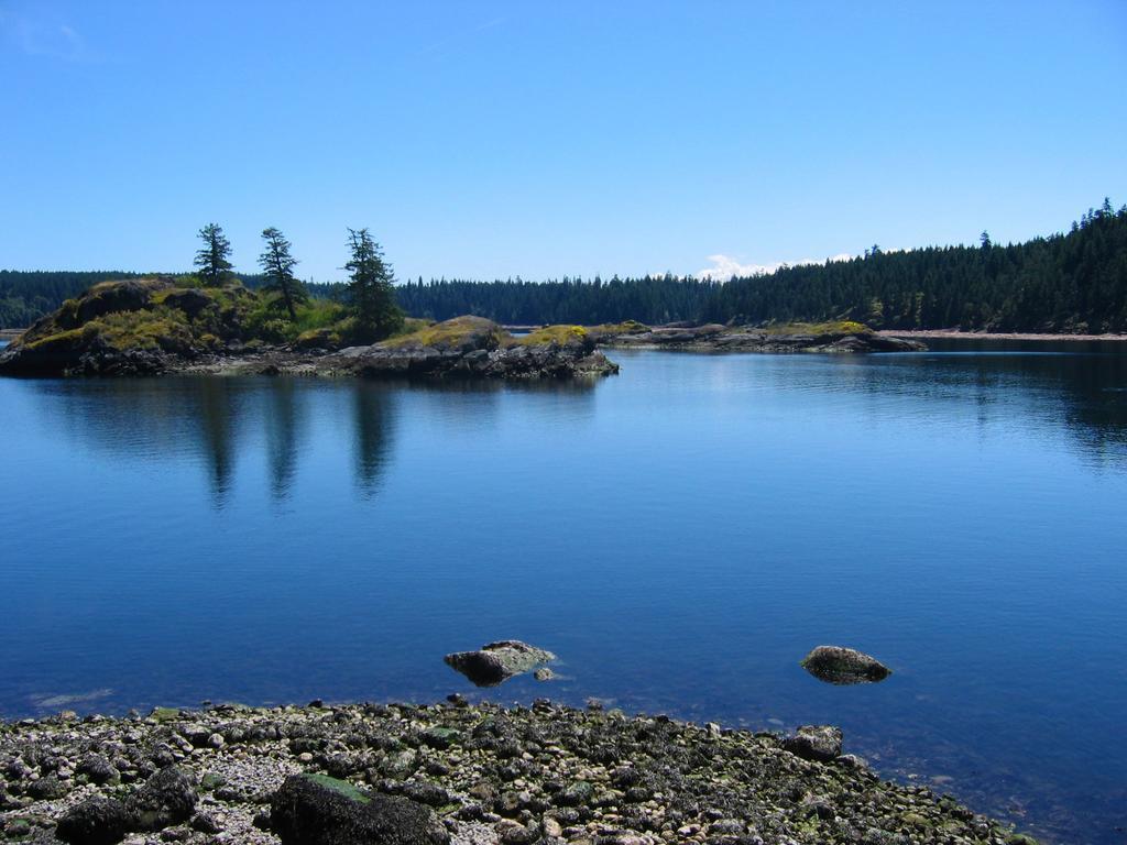 Gowlland Harbour Resort Heriot Bay Ruang foto
